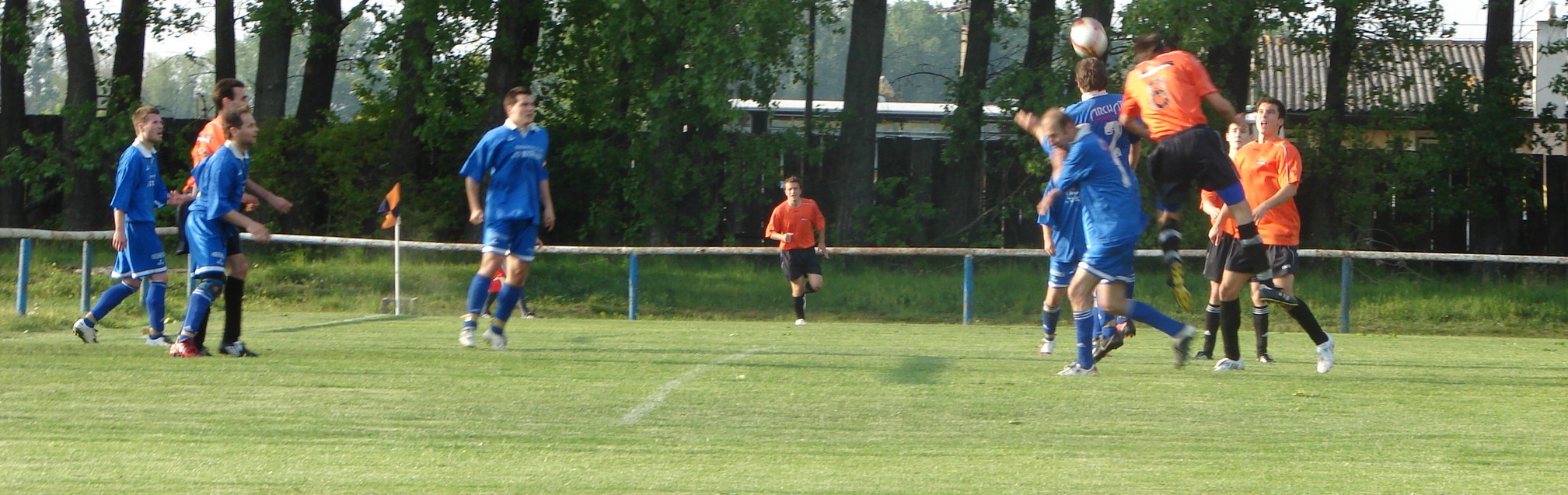 13.jpg
